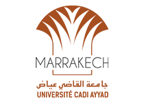 Cadi Ayyad University